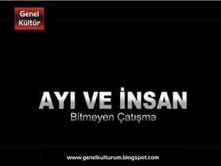 Dikkat Ayı Çıkabilir - Belgesel