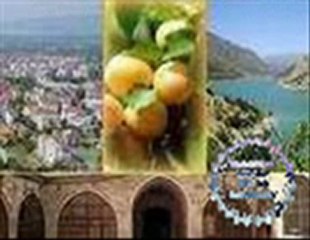 SEVİM ERKILIÇ HERŞEYİMSİN_mpeg4