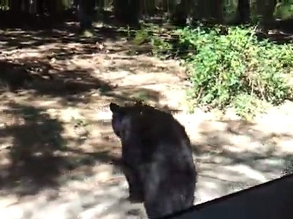 2011-08-17 - Peaugres 2