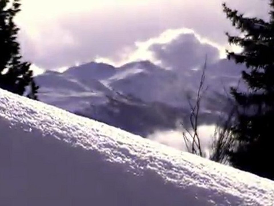 You need to fart . forest