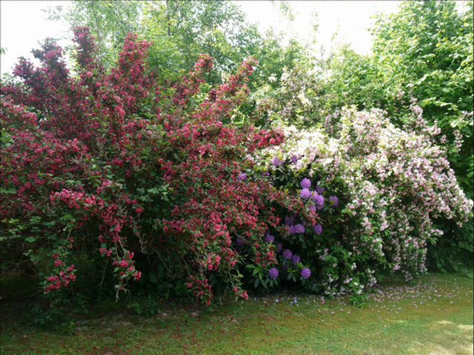 fleurs