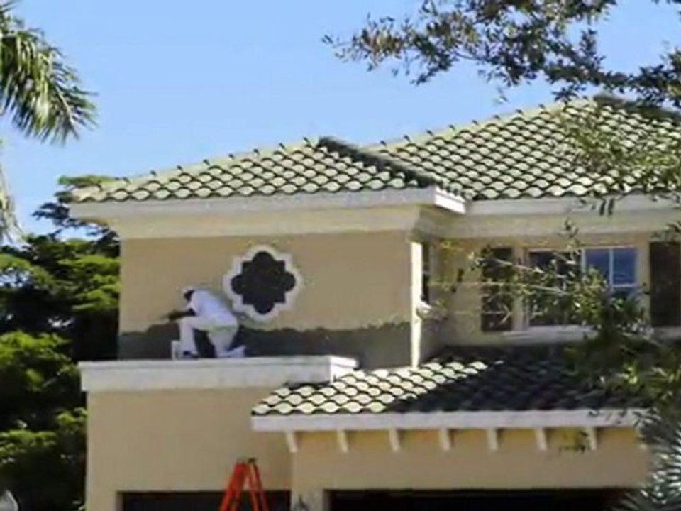 Water Damage,Mold removal ,Restoration Palm Peach