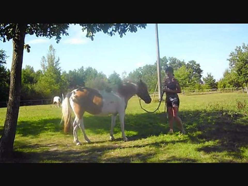 olympe déplacements hanches et épaules