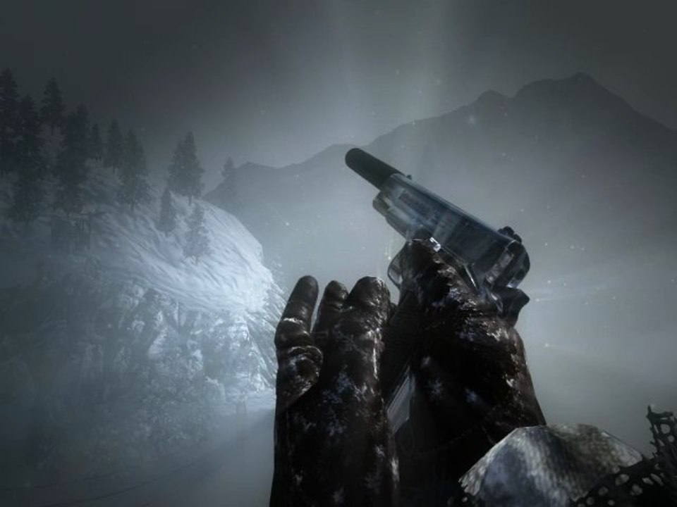 twixtor M1911
