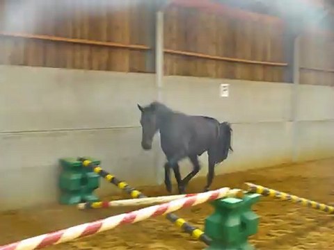 Ulys saut liberté 27 aout