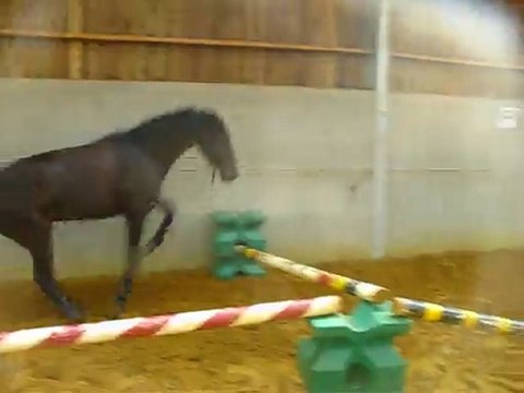 Ulys 27 aout saut en liberté 4