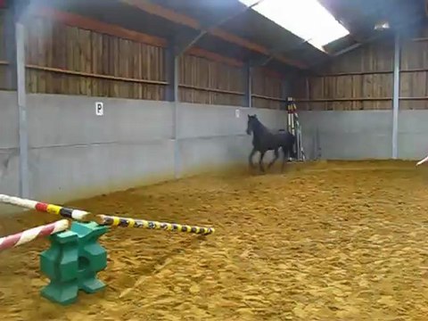 Ulys saut en liberté 27 aout 5