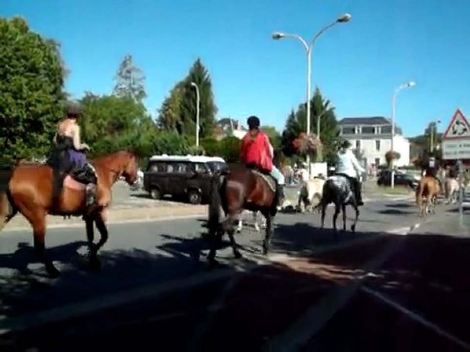 fete cheval