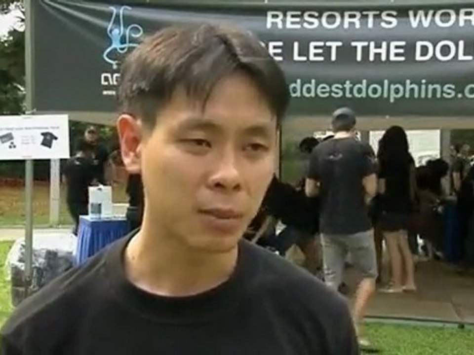 Activists rally for dolphin release