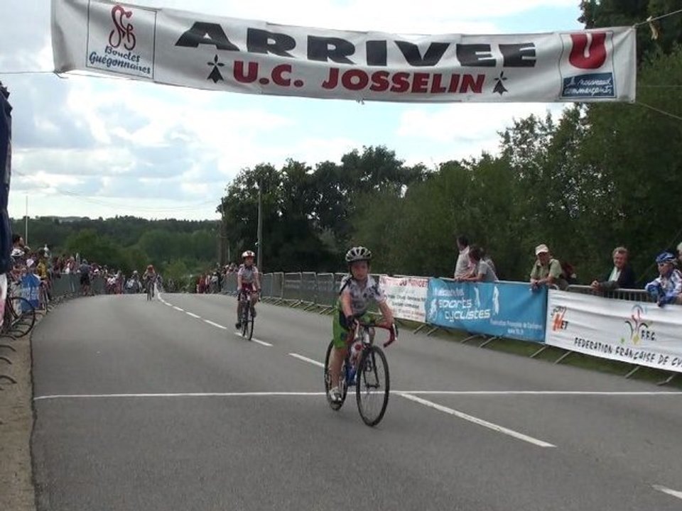 Arrivée des poussins à Josselin
