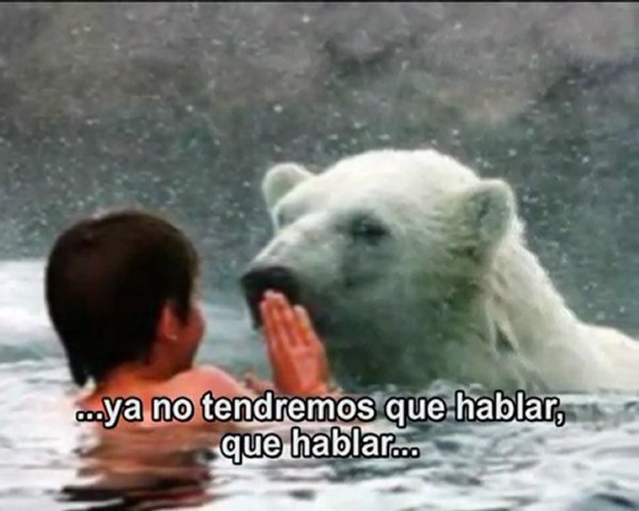 DESHIELO POLAR