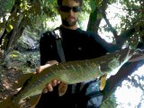 Esox lucius......what a great opponent