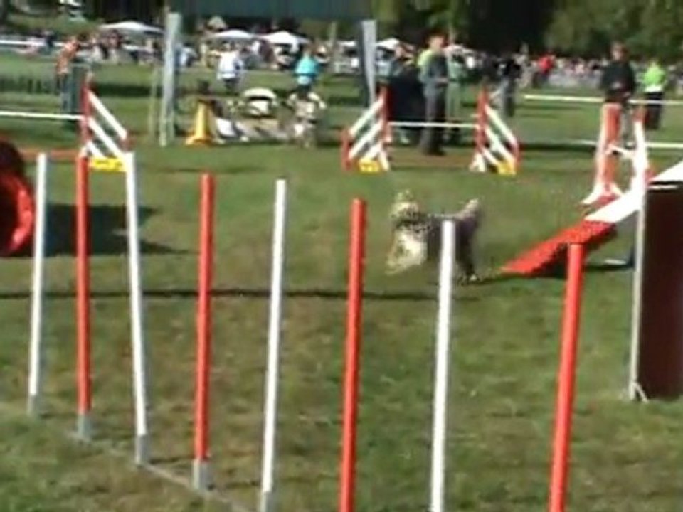 Chanel open + Romorantin 28 08