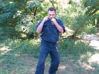 Хортинг. Вторая защитная форма. Александр Гречаный.