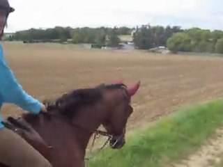 Balade Ury - Août 2011