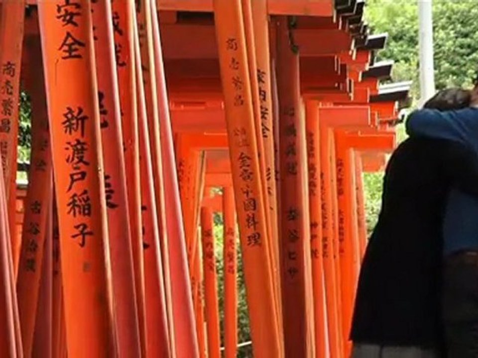 japon découverte de l’écologie 3sur5