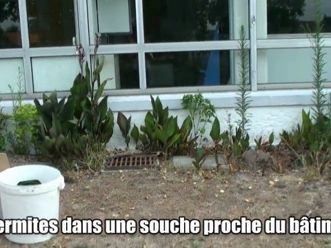 Protection d'un bâtiment contre l'invasion de termites