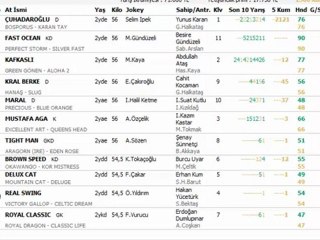 29 AĞUSTOS BURSA ALTILI YORUMLARI
