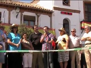 Concurso de Paellas (III)