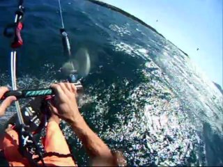 kite cannes palm beach