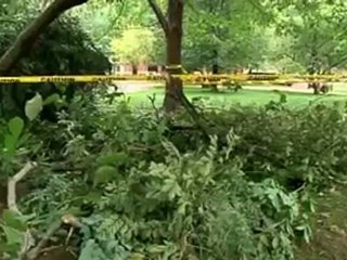 Irene hits New York, spares Washington