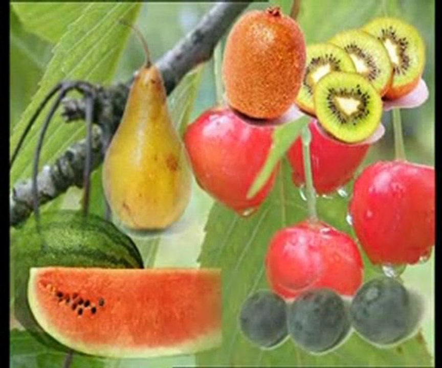 Allah insanlara nimetler verir