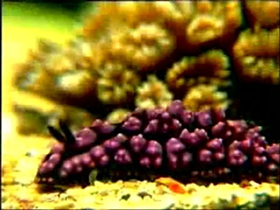 Allah herşeyi çok iyi bilir