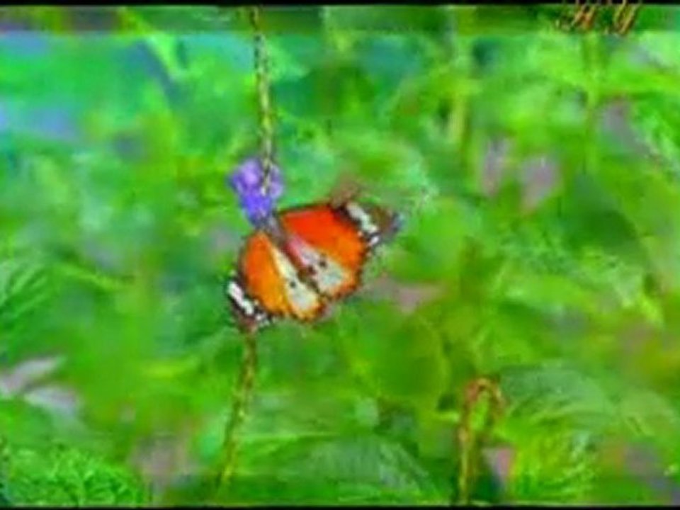 Allah'ın yarattığı herşey en güzeli ve en hayırlısıdır