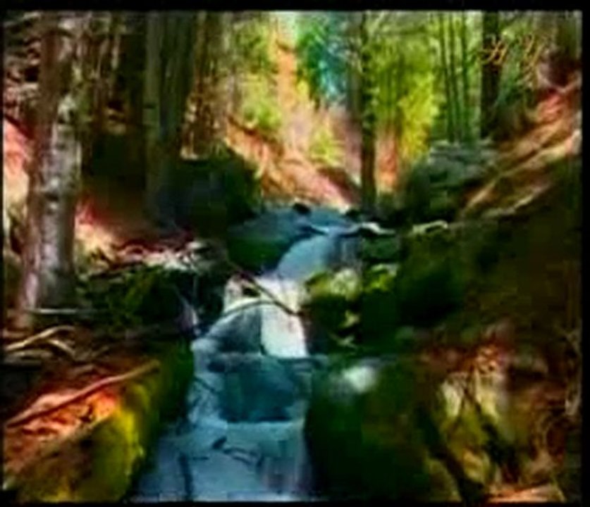 Allah kendi yolunda olanların koruyucusu ve yardımcısıdır