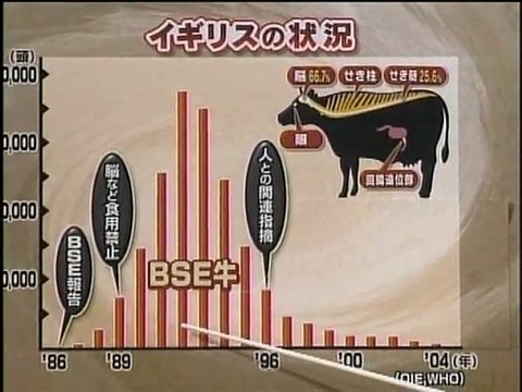 あすを読む 変異型ヤコブ病の衝撃 (2005.02.07) 合瀬宏毅