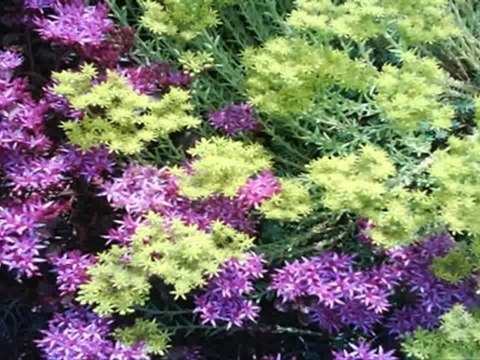 North York Real Estate - Temagami Crt