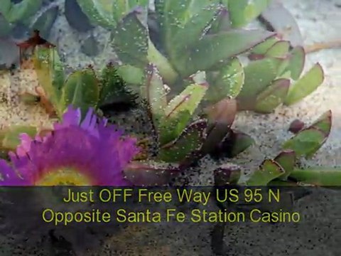 vegas urgent care primary care (702) 220-8001