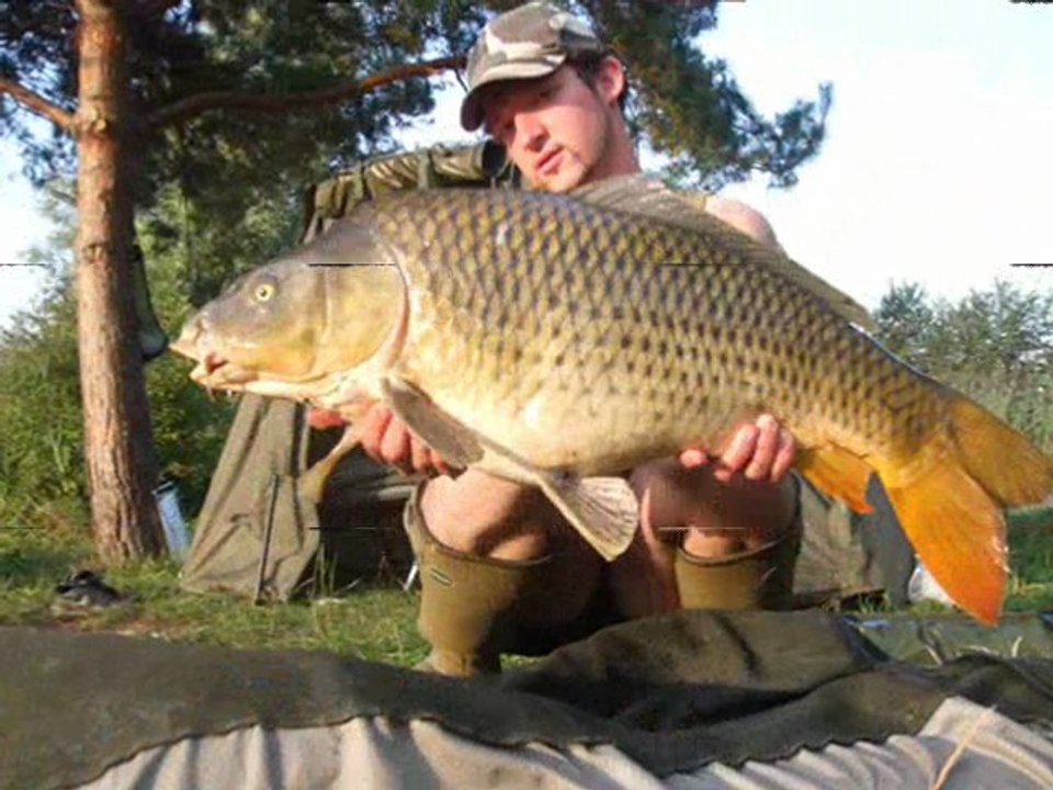Pêche à la carpe saison 2011