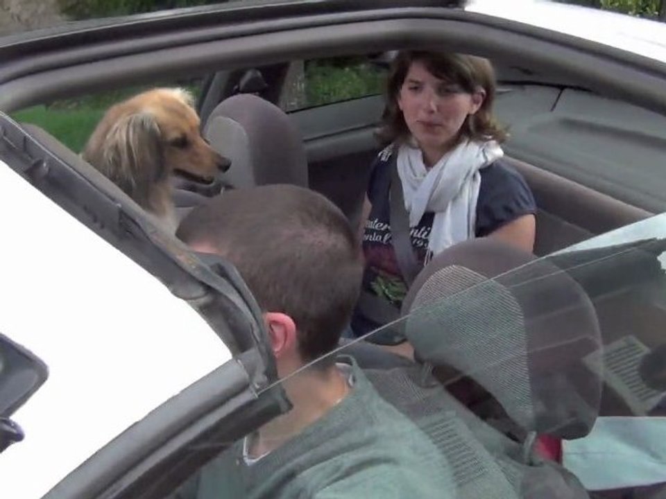 Chronique de l'ordinaire 2  - Léo fait fausse route