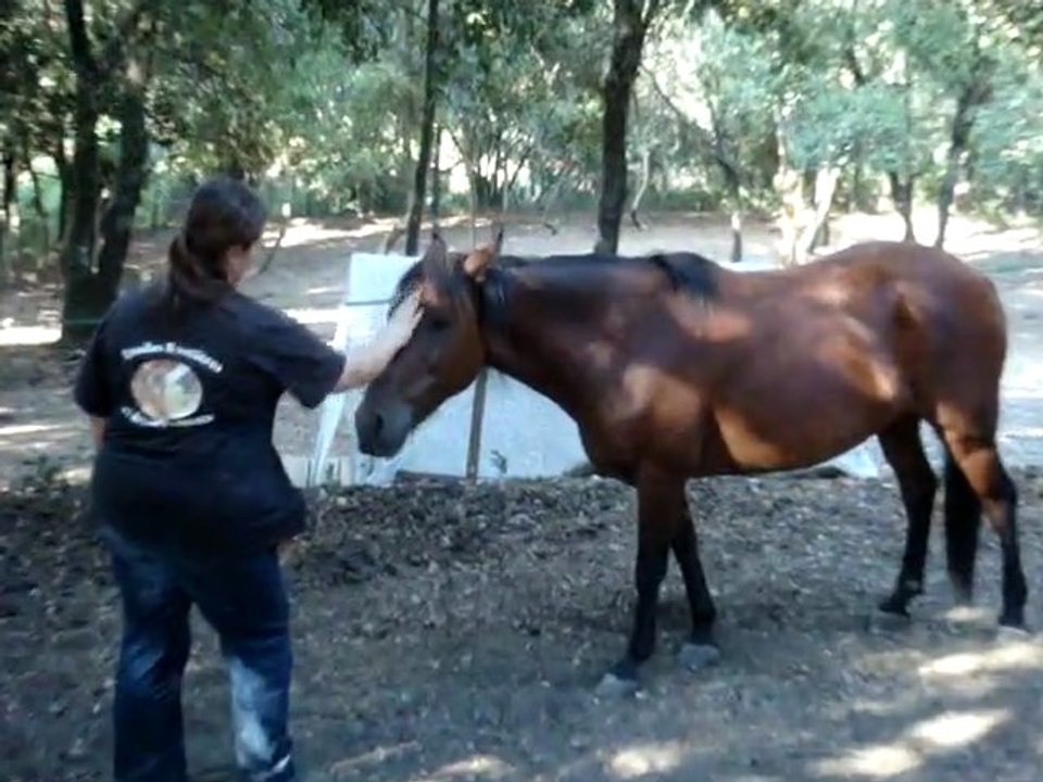 Leeloo, 28 aout 2011