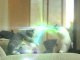 Des chatons Jedi font un combat de sabre laser.