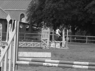 Taz, ma plus grande fierté