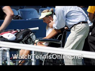 watch US Open 2011 final online
