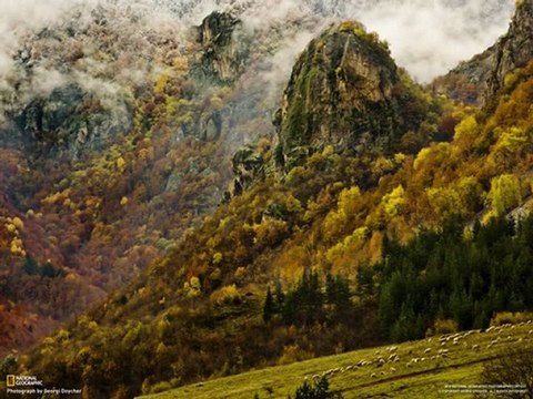 National Geographic 2010 - 2011 En İyi Fotoğraflar