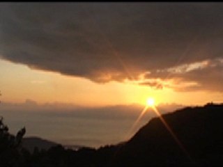 西伊豆ビチビチ３