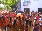 Concentración de Peñas, Fiestas 2011