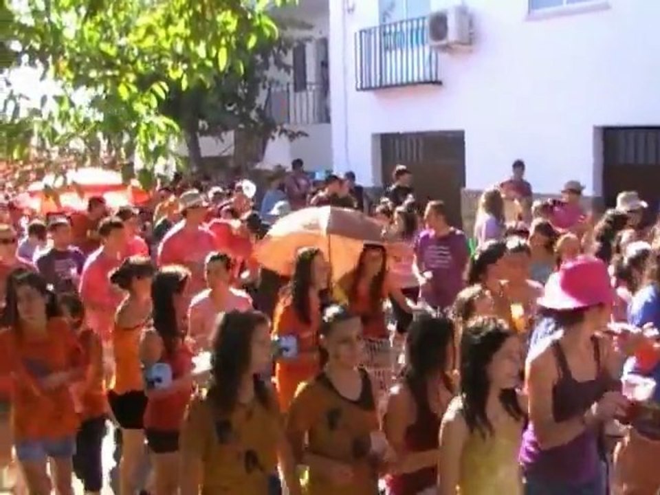 Concentración de Peñas, Fiestas 2011