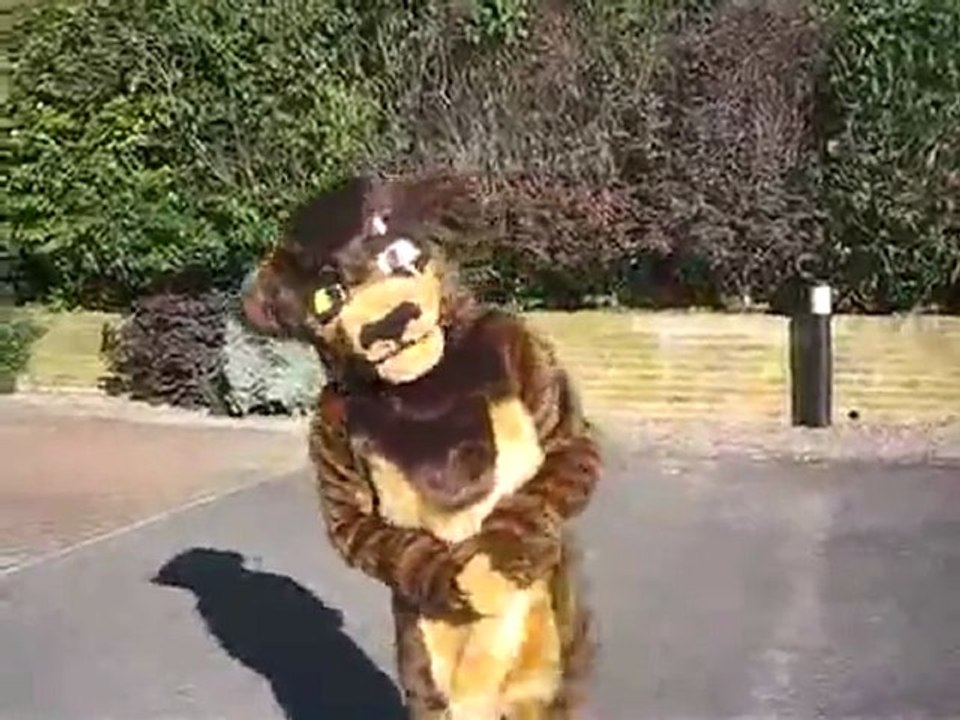 Kovu Fullsuit