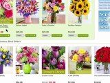 ProFlowers Coupons | A Guide To Saving with ProFlowers Coupon Codes and Promo Codes