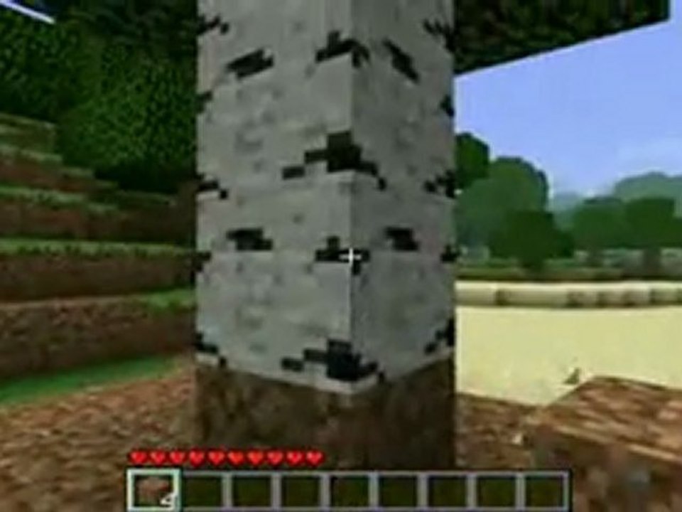 vidéo test de minecraft