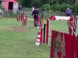 E'Lia des Grandes aubes, épagneul breton, concours d'agility moyeuvre 28/8/2011, Jumping