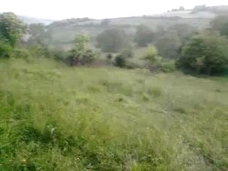 BALABAN KÖYÜ bülbül ötüşü