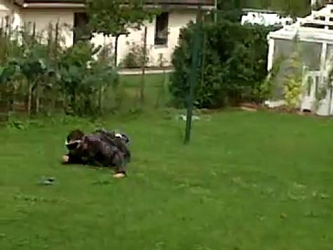 VID 00011-20110828-1134