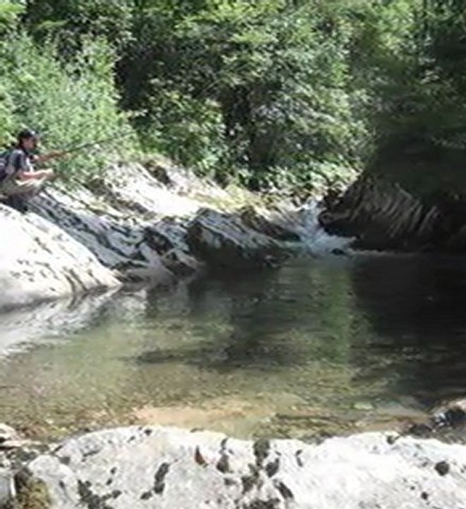 Fish hard........or go home...