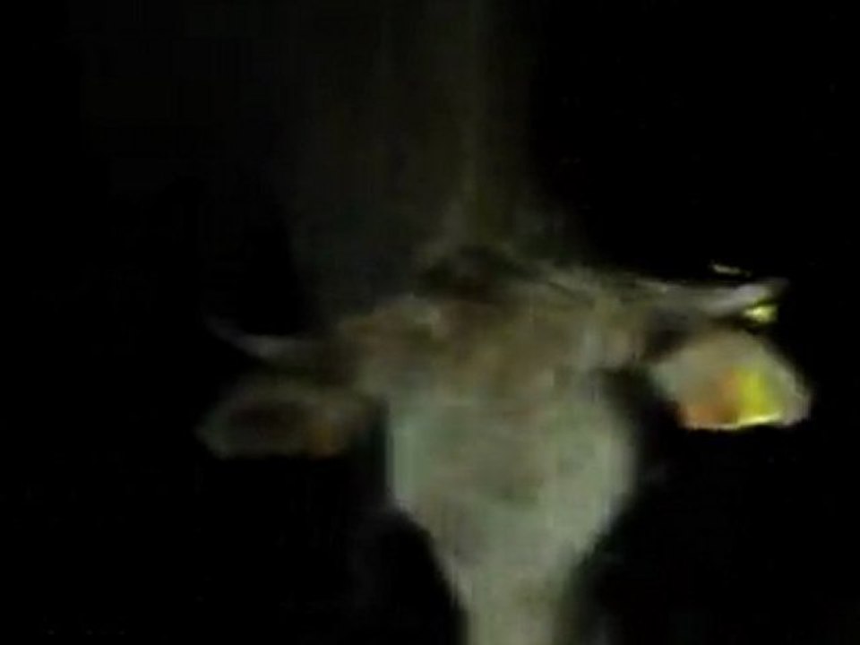 Grand Raid des Pyrénées 2011 : tps 1h30 - 7km (avant point 1950) Episode 2/15